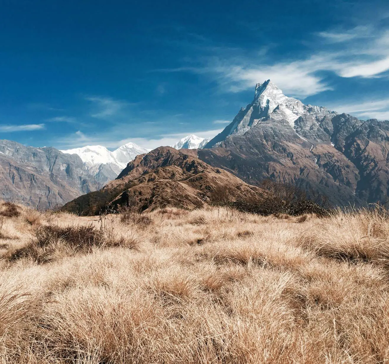 Machhapuchhre mountain rising above golden grassland on the Mardi Himal ridge