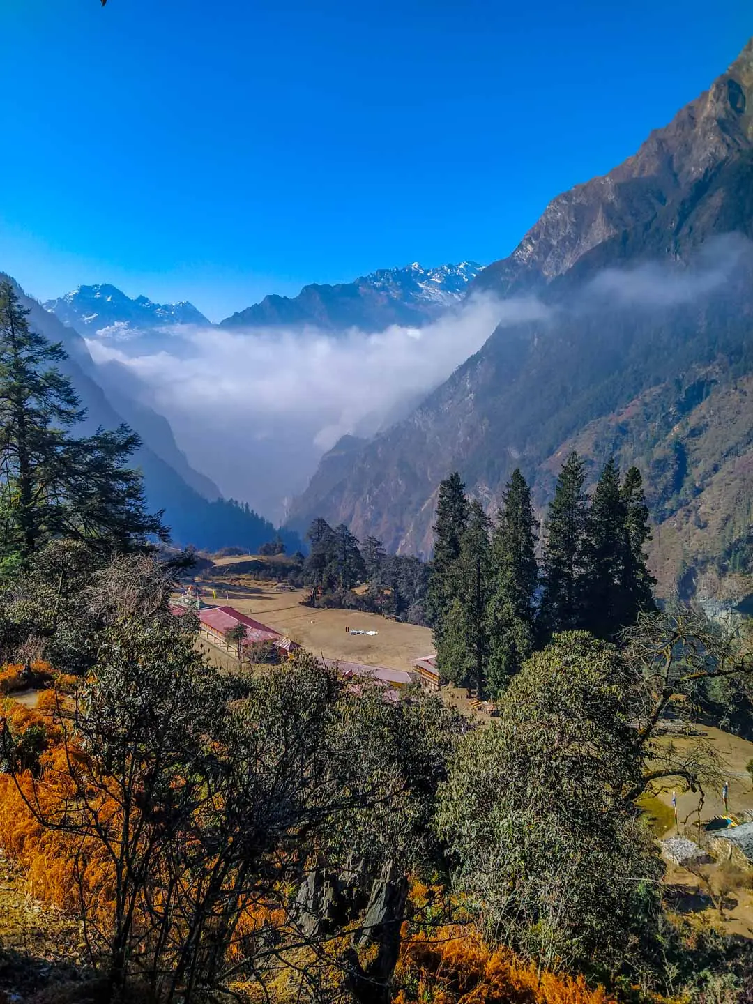 Monastery buildings on a meadow in a forested valley, with mist and snowy mountains behind