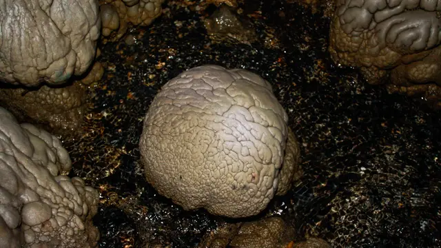 Brain-shaped pale rock formation inside a cave