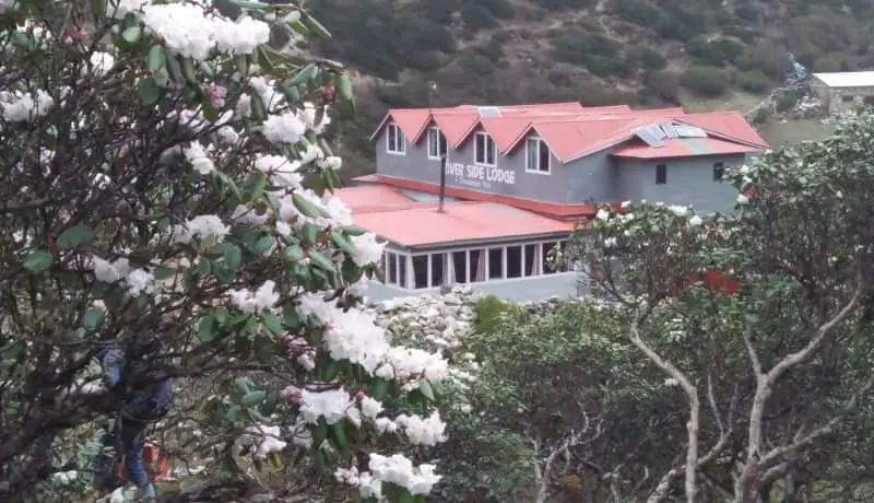 Riverside Lodge And Restaurant