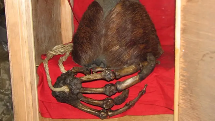 Pangboche Yeti Hand Heist