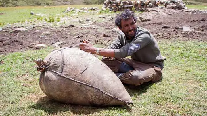 Yak Skins Used To Make Ghee