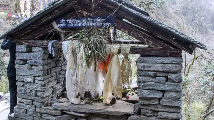 Paunchhi Barah