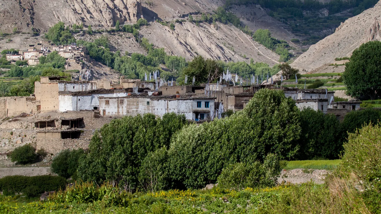 Khingar cover