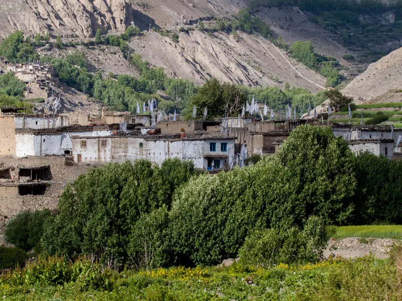 Khingar