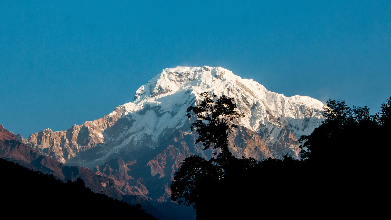 Himalpani cover