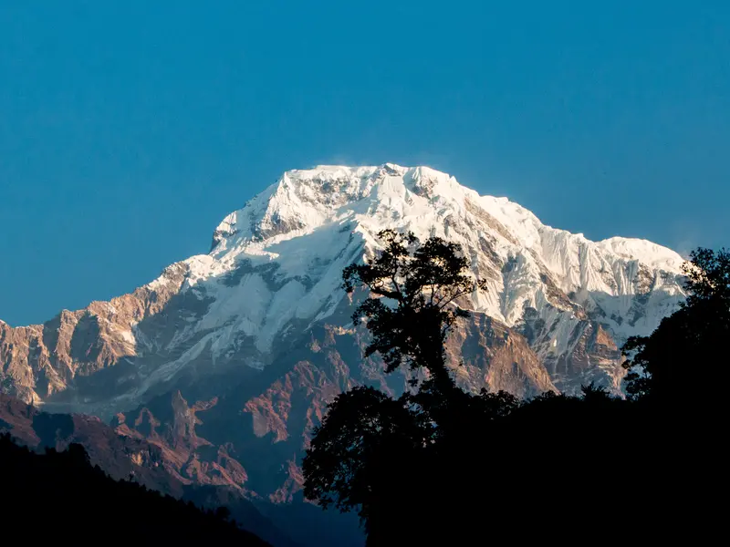 Himalpani