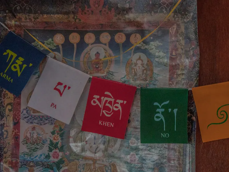Tibetan Camp