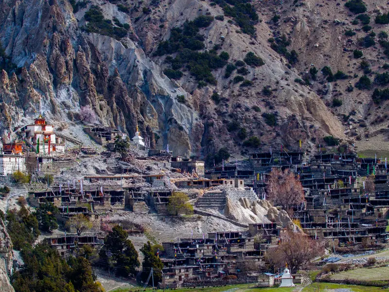 Bhraka