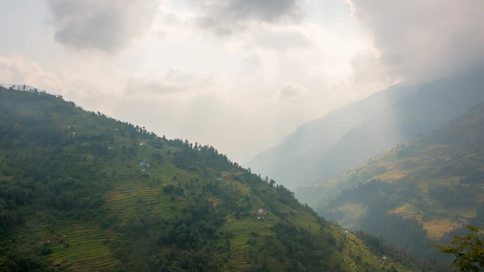 Bheri Kharka cover