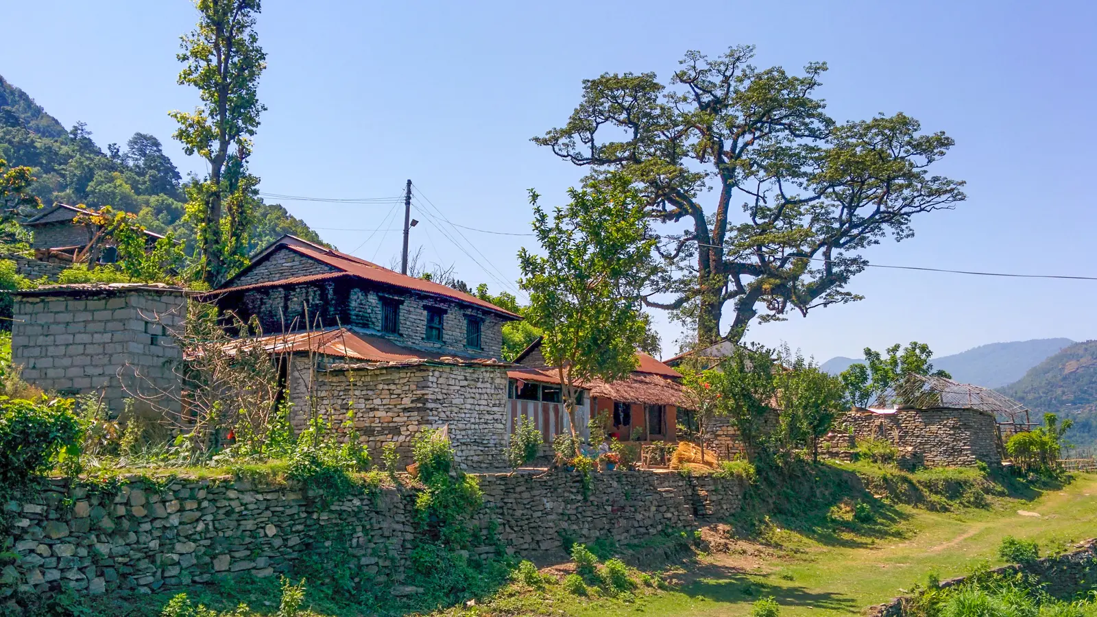 Simalchaur cover