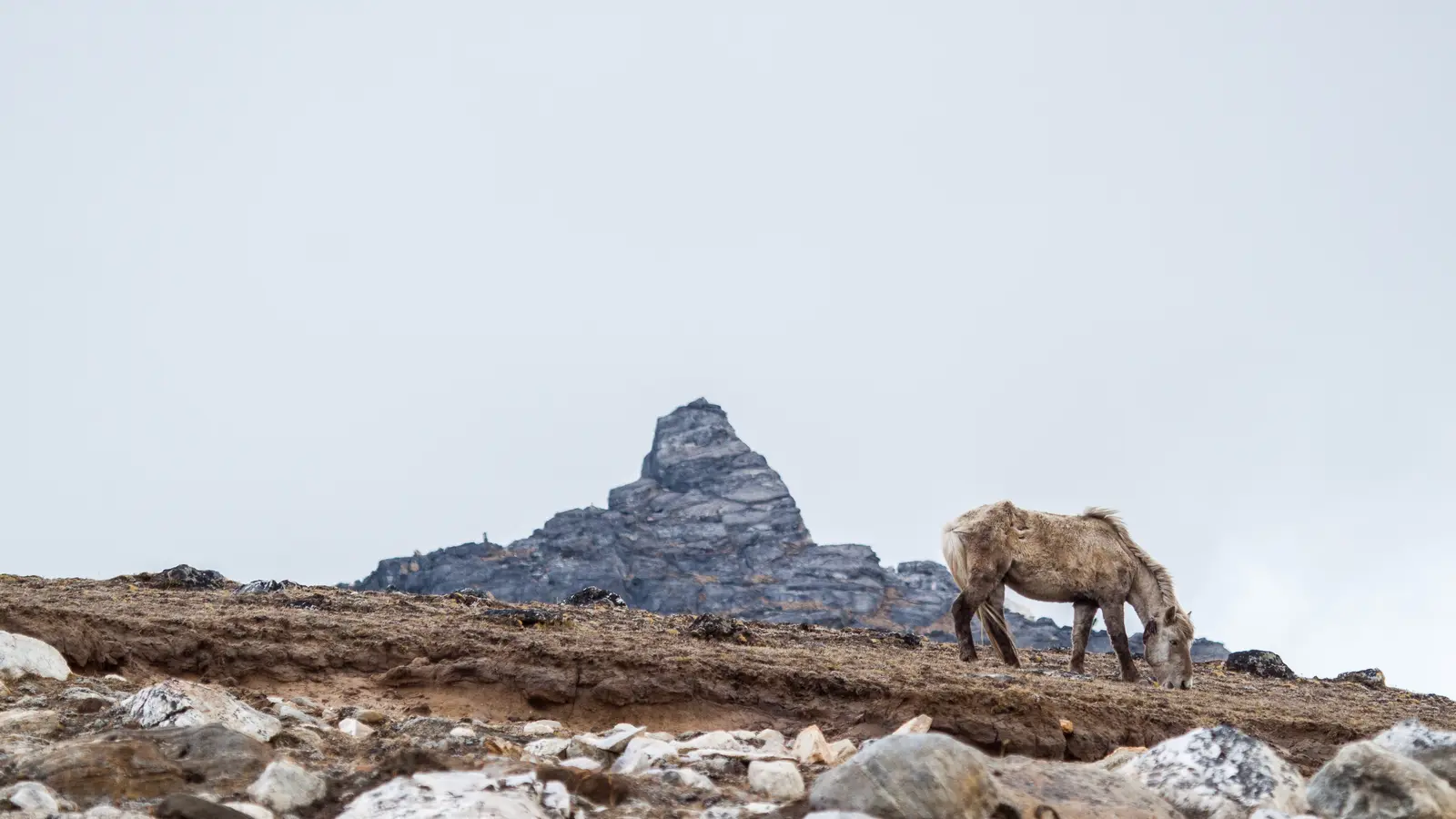 Lobuche cover