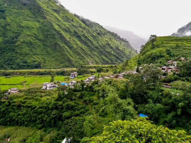Narchyang