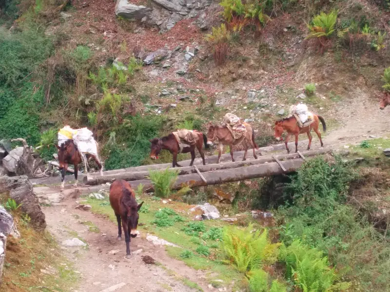 Kimrong Danda