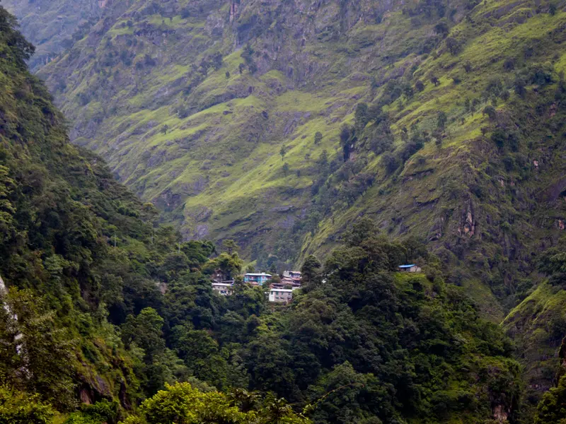 Jagat