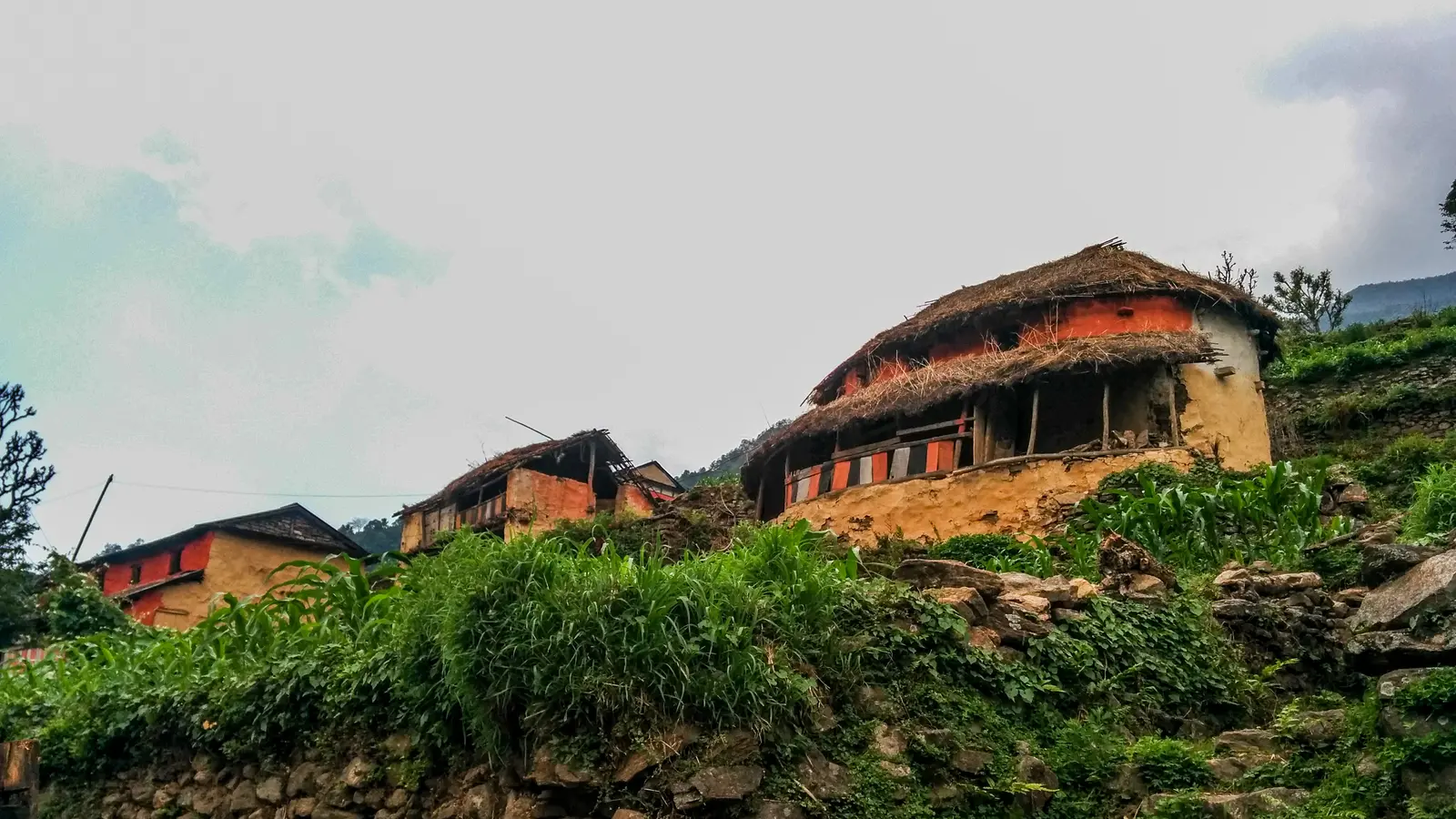 Sildhunga cover