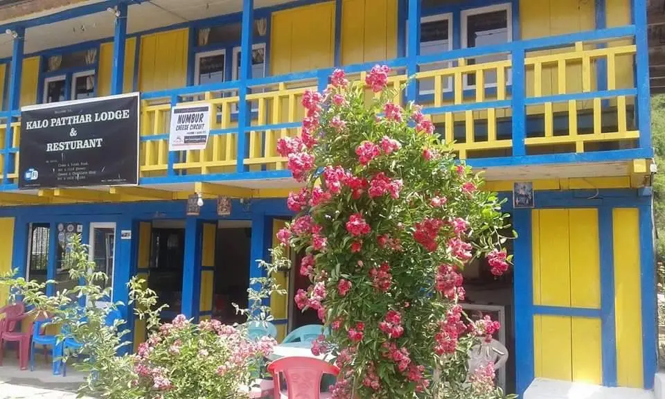 Kalo Patthar Lodge