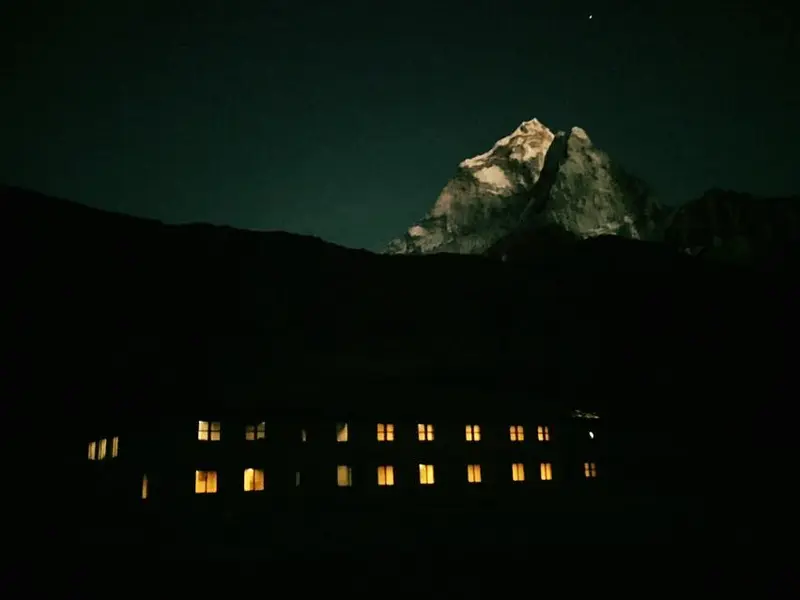 The Edelweiss