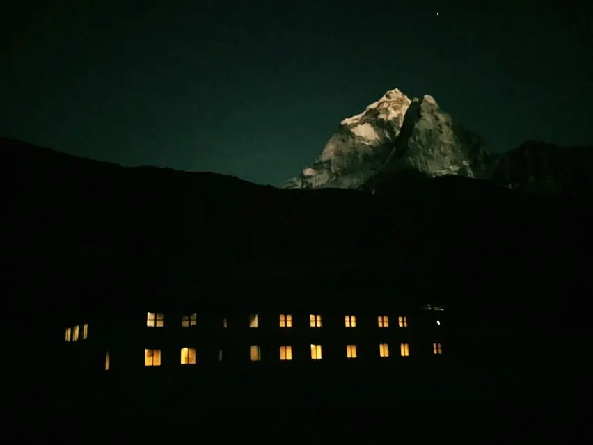 The Edelweiss