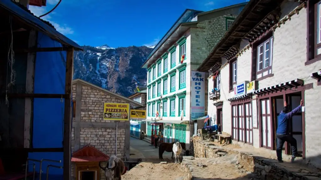 Yak Hotel