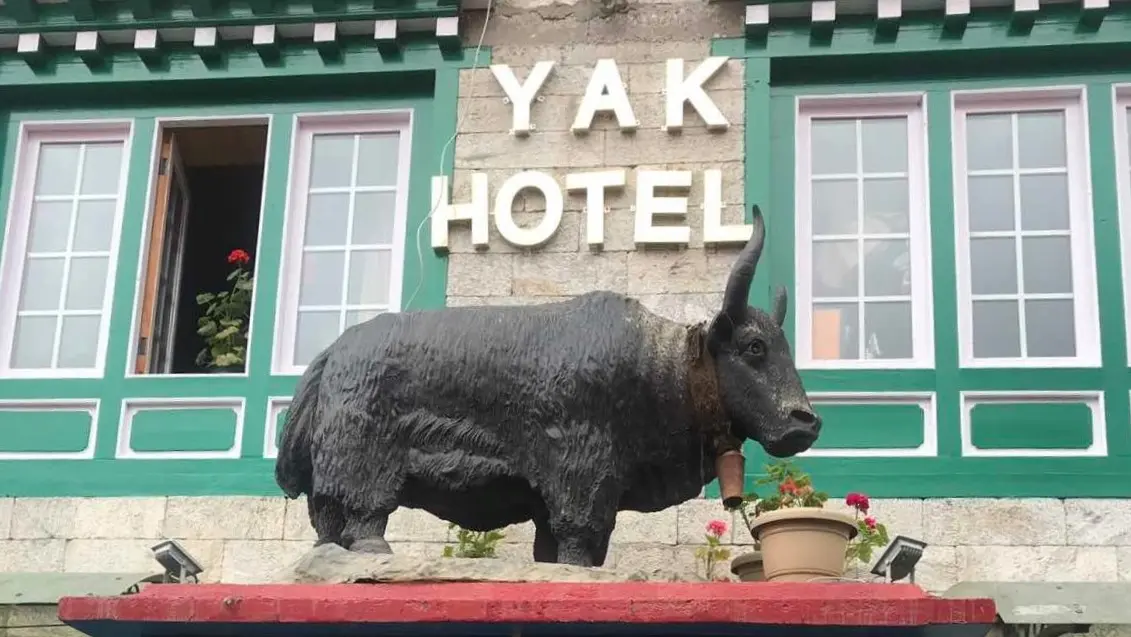 Yak Hotel