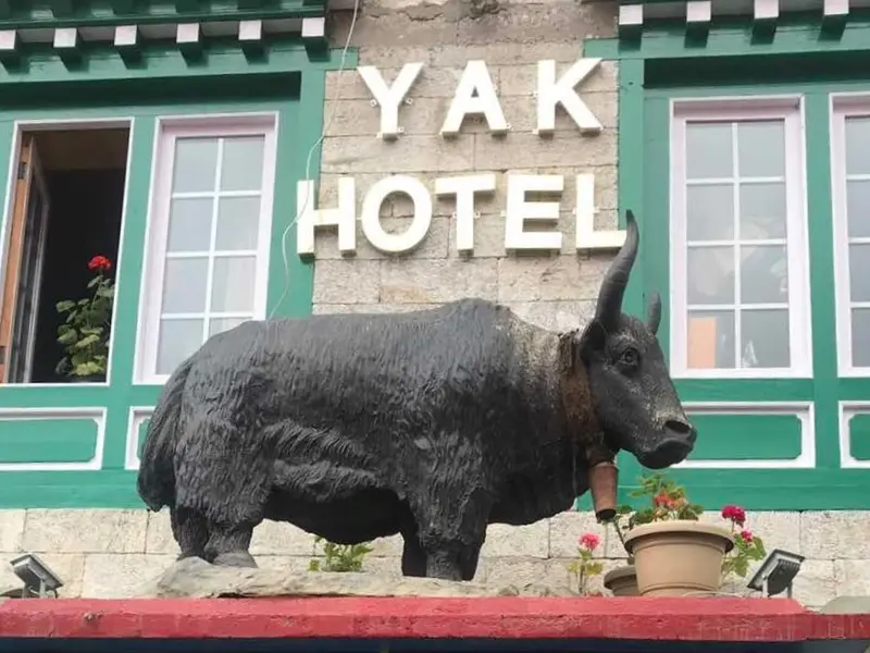 Yak Hotel