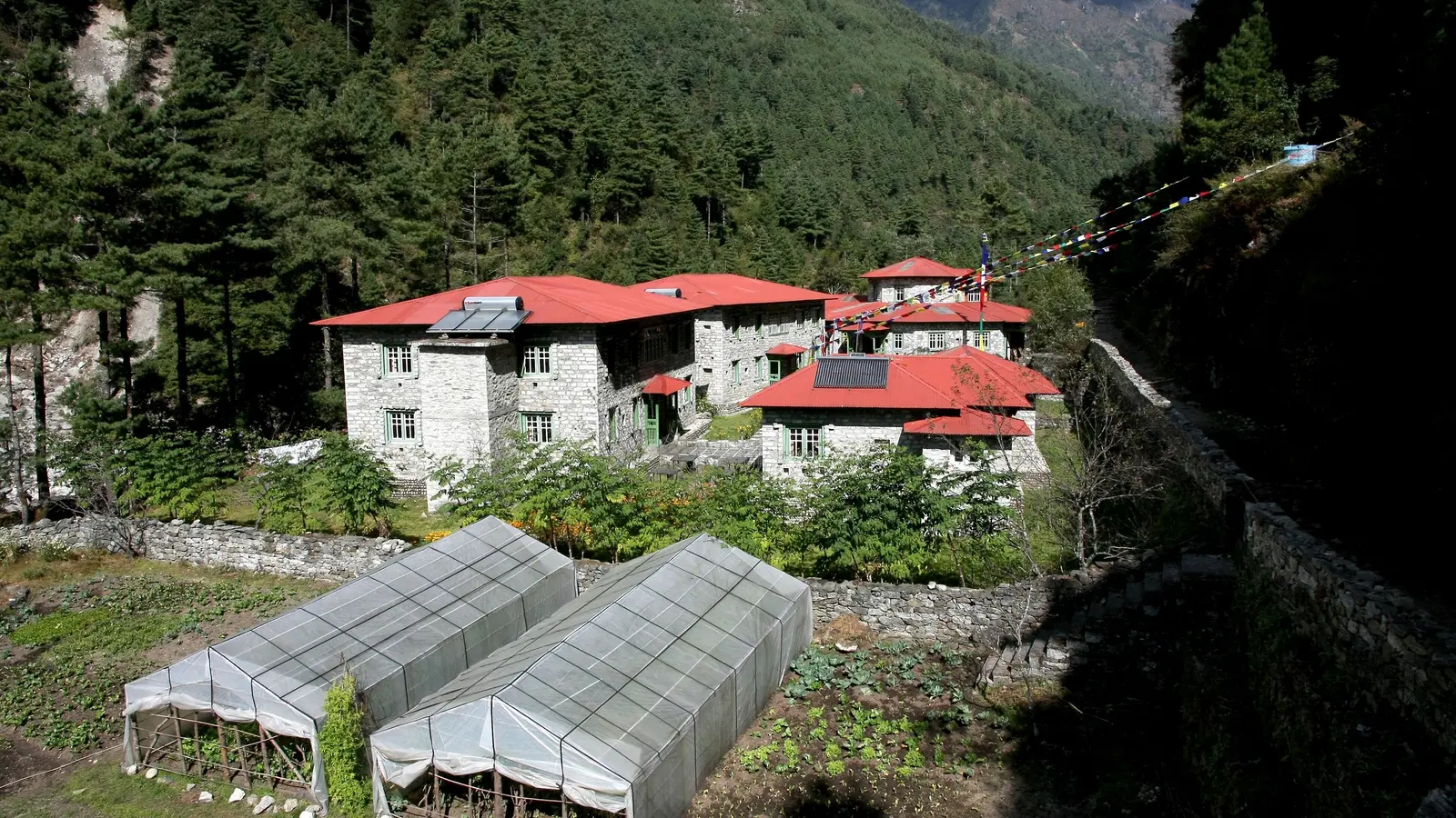 Yeti Mountain Home