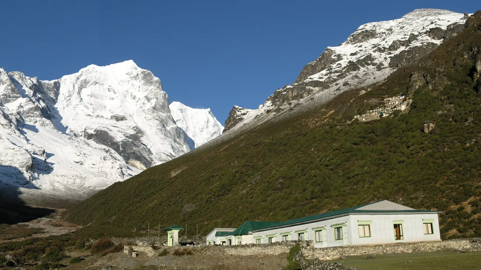 Yeti Mountain Home
