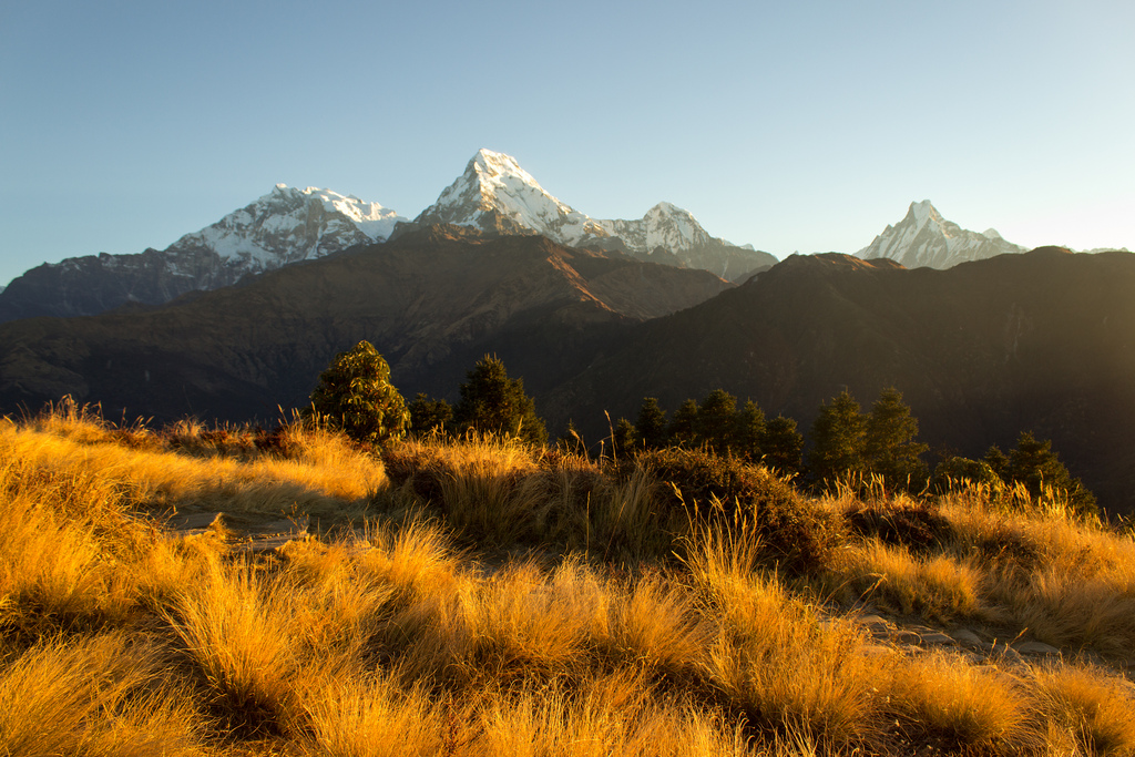 Sunrise from Poonhill