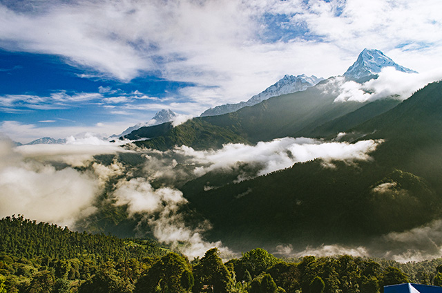 Ghorepani- Poon hill trekking trail