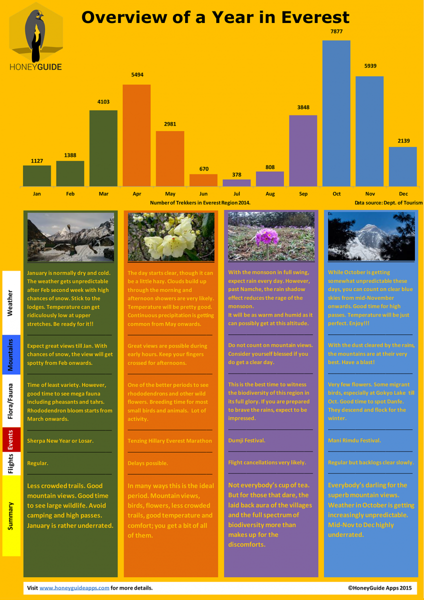 Infographic Everest Calendar Overview of a Year