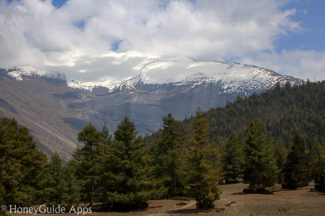 Mountains and its endless beauty