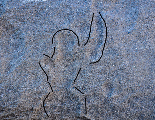 Petroglyph in Eklebhatti, Upper Mustang