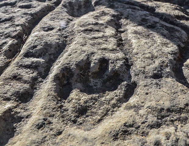 Petroglyph in Mohargaph Samar, Upper Mustang