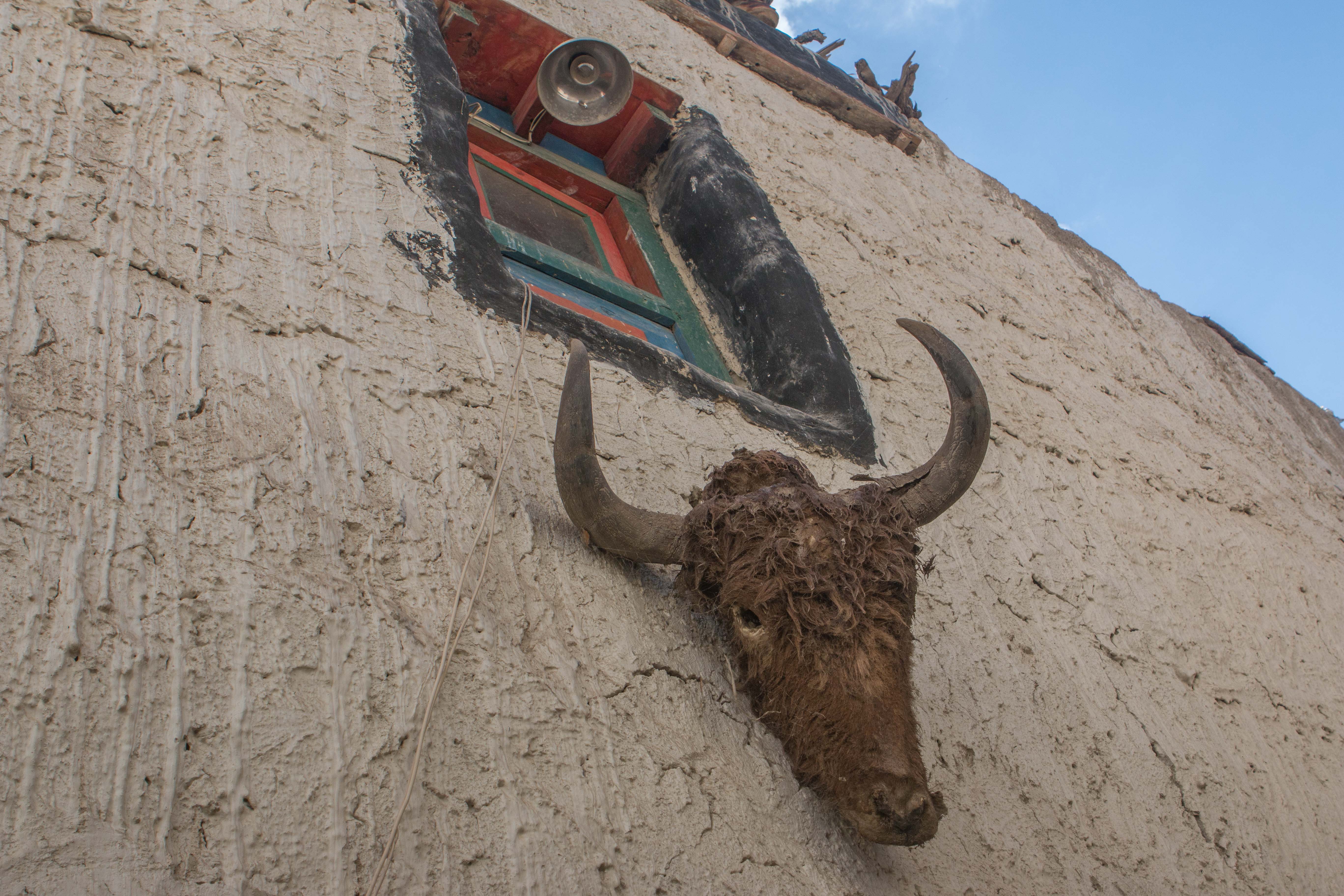 Animal skull placed above the door of the houses in Upper Mustang